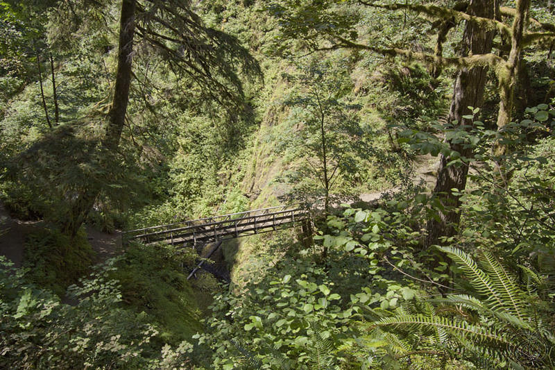 Oneonta Creek Footbridge