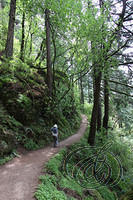 Oneonta Creek Trail (5495)