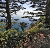 Cape Lookout South Overlook 1