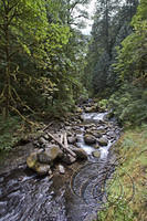 Oneonta Creek Trail (5469)